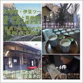 箱根八里の七曲り橿木坂上　甘 ...