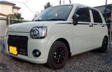 🚗衝突安全ボディ❮TAF(タフ)❯🚗 🚗衝突安全ボディ❮TAF(タフ)❯🚗