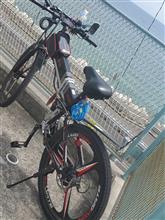 近い将来 しまなみ海道をチャリで渡る夢の話