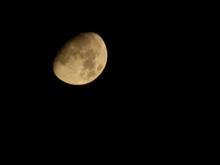 名月 中秋の名月はこの土曜日。今晩の月は。