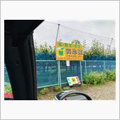梨買いドライブ2022【千葉 ...