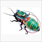 仮面ライダーが誕生する未来