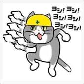 明日は忙しい？