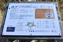 隠岐諸島巡り⑫ 島前 知夫里島 赤ハゲ山 (2022 .6) 隠岐諸島巡り⑫ 島前 知夫里島 赤ハゲ山 (2022 .6)