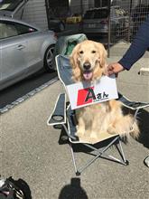 運転楽しい