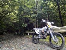 グンマーの山中で自然に返っていく道を行く。