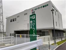 就職活動