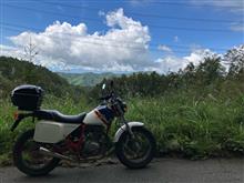 天目山周辺の林道を走って来ました 