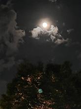 今夜は「中秋の名月」
