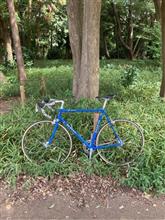 自転車散歩（SLX NEW 林試の森）