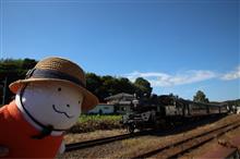 今日は真岡