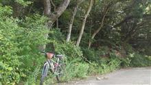 油山&amp;他