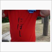 今日の五色台はにぼしTシャツ