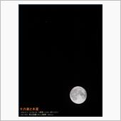 十六夜🌖