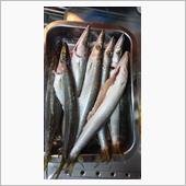 秋刀魚ありません？