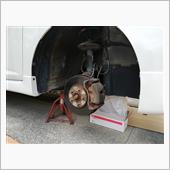 明日はユーザー車検の日