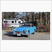 MG  MIDGET + M ...