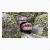 トンネル坑門部分の切通しを造 ...