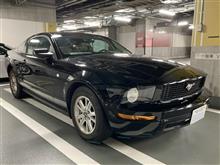 シンプルなポニー、スタイリッシュなひと