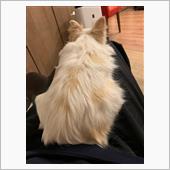 ダイエット成功⁉︎😆