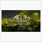 Novelbright の“ ...