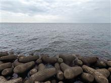 高洲海浜公園でサヨリ狙い