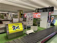 30年振りくらいの宮崎。。