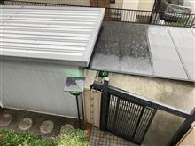 台風連続襲来!