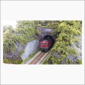 トンネル坑門部分の切通しパー ...