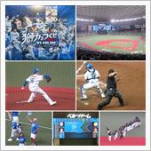 野球観戦（埼玉西武vs千葉ロ ...