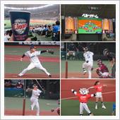 野球観戦（埼玉西武vs東北楽 ...
