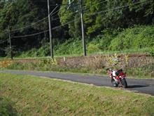 彼岸花　2022　その1