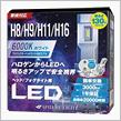 フォグライト用LEDバルブをポチりました
