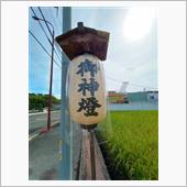 新世界の誘惑　1