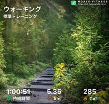 雨・風、来る前に近所ウォーキング