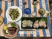 連休初日の晩飯は、、鰹のタタキに　冷凍保存された石鯛とヒラメの昆布締め