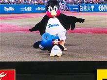 🏟⚾️スポーツの秋 No.3『プロ野球 ヤクルト🆚巨人戦』⚾️ 🏟