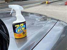 ステルヴィオの機械洗車と簡易コーティング