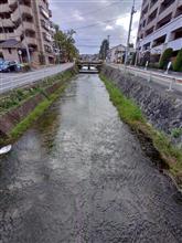 ふっ口程にも無い