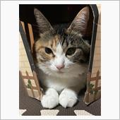 癒されます。😄