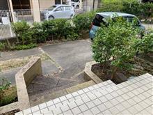 出撃致します(・∀・)ノ