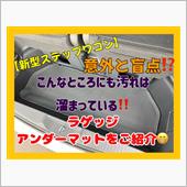 【新型ステップワゴン】意外と ...
