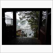 今日も雨
