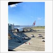 台風の上飛んで帰省