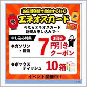 やっぱり(ΦωΦ)