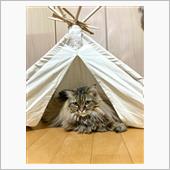 みーちゃんと戯れて