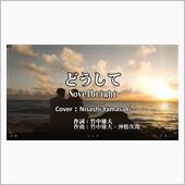 どうして/Novelbrig ...