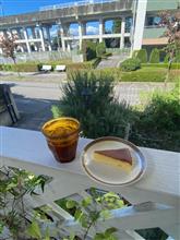 めちゃいい天気ですね☀️