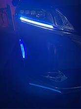 完全防水 爆光 暴君LEDテープ 極薄 極細 到着〜