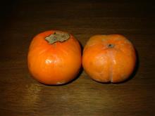 柿を初収穫 柿を初収穫